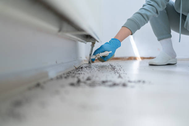 Best Pest Inspection Near Me  in Hartley, IA